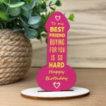 Funny Friendship Plaque Joke Novelty Birthday Gift For Friend