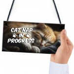 Novelty Cat Signs For Home CAT NAP IN PROGRESS Funny Cat Signs