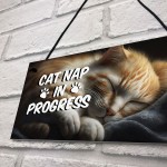 Novelty Cat Signs For Home CAT NAP IN PROGRESS Funny Cat Signs