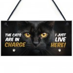  Funny Joke The Cats Are In Charge Cat Gifts For Cat Lovers