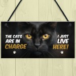  Funny Joke The Cats Are In Charge Cat Gifts For Cat Lovers