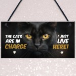  Funny Joke The Cats Are In Charge Cat Gifts For Cat Lovers