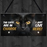  Funny Joke The Cats Are In Charge Cat Gifts For Cat Lovers