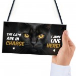  Funny Joke The Cats Are In Charge Cat Gifts For Cat Lovers