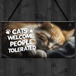 Funny Cat Gifts For Crazy Cat Lady Cat Lover Gifts Hanging Sign