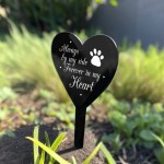 Dog Cat Memorial Plaque Heart Stake Tribute Graveside Marker