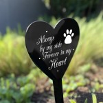 Dog Cat Memorial Plaque Heart Stake Tribute Graveside Marker