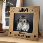 Hamster Memorial Photo Frame Personalised Pet Memorial Gift