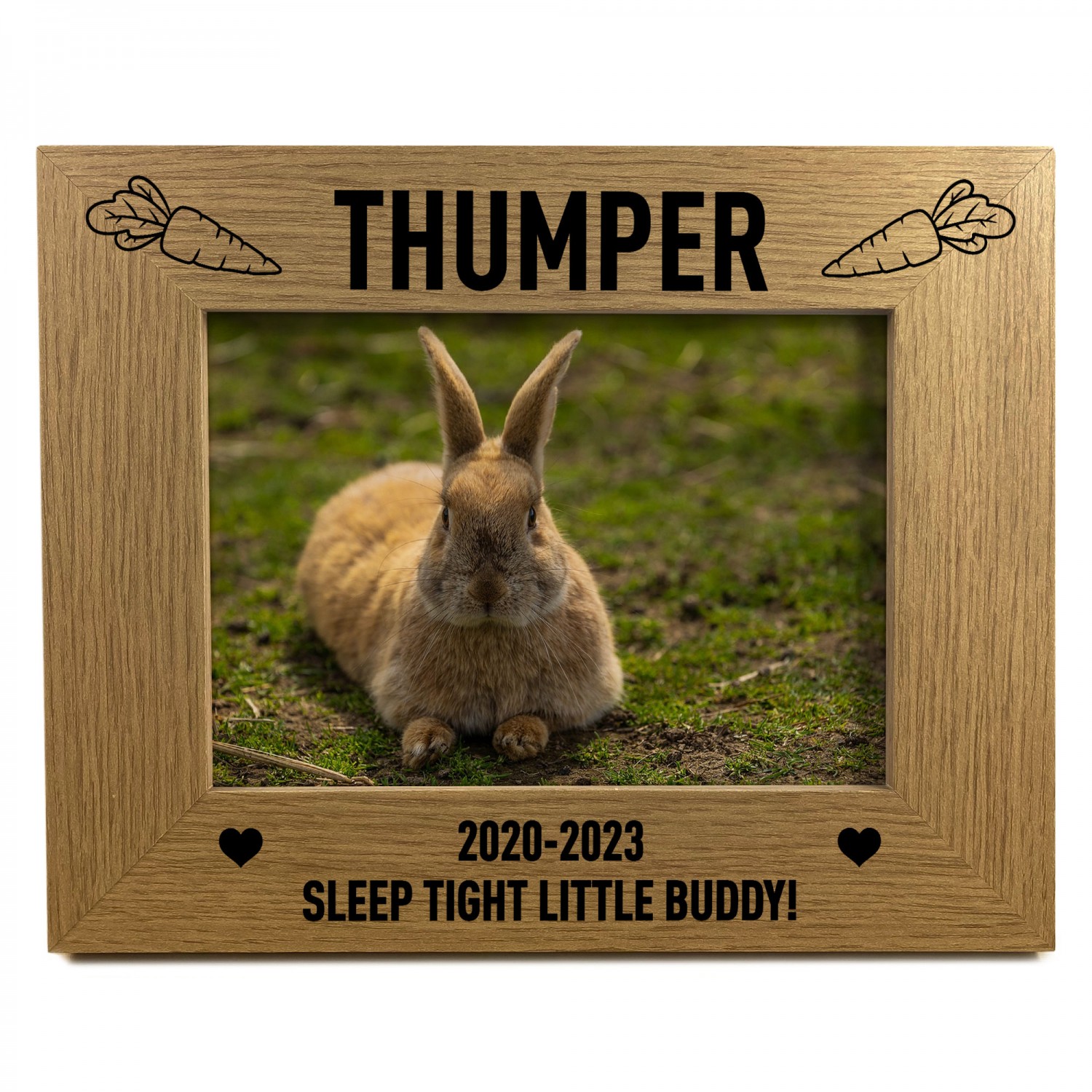 Pet rabbit sales memorial