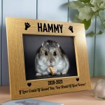 Personalised Hamster Memorial Photo Frame Pet Memorial Gift