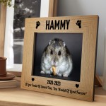 Personalised Hamster Memorial Photo Frame Pet Memorial Gift