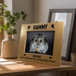 Personalised Hamster Memorial Photo Frame Pet Memorial Gift