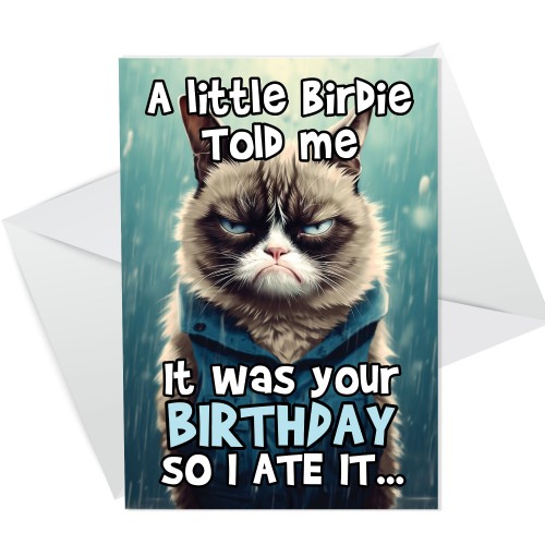 Funny Cat Birthday Card For Friend Men Women Him Her Novelty