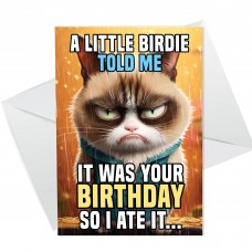 Humorous Birthday Card From Cat Funny Card For Men Women