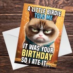 Humorous Birthday Card From Cat Funny Card For Men Women