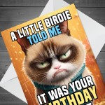 Humorous Birthday Card From Cat Funny Card For Men Women