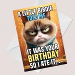 Humorous Birthday Card From Cat Funny Card For Men Women