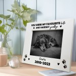 Favourite Hello Hardest Goodbye Memorial Photo Frame For Dog