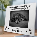 Favourite Hello Hardest Goodbye Memorial Photo Frame For Dog