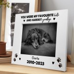 Favourite Hello Hardest Goodbye Memorial Photo Frame For Dog