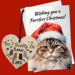 Christmas Card From The Cat Funny Card For Cat Mum Dad Funny