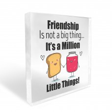 Friendship Gift Plaque For Christmas Birthday Secret Santa