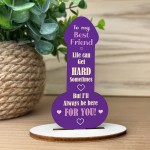 Funny Best Friend Gift Friendship Rude Plaque Gift For Friend