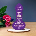 Funny Best Friend Gift Friendship Rude Plaque Gift For Friend