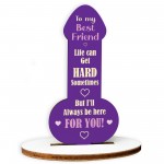 Funny Best Friend Gift Friendship Rude Plaque Gift For Friend