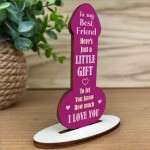 FUNNY JOKE BEST FRIEND PLAQUE Gift For Best Friend Birthday