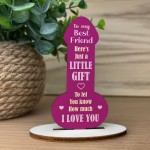 FUNNY JOKE BEST FRIEND PLAQUE Gift For Best Friend Birthday