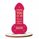 Funny Rude Gift For Auntie Birthday Christmas Joke Gift For Her