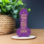 GIFT FOR BEST FRIEND Funny Best Friend Gift Her Birthday Gifts