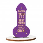 GIFT FOR BEST FRIEND Funny Best Friend Gift Her Birthday Gifts