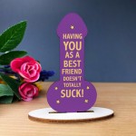 GIFT FOR BEST FRIEND Funny Best Friend Gift Her Birthday Gifts