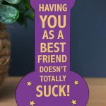 GIFT FOR BEST FRIEND Funny Best Friend Gift Her Birthday Gifts