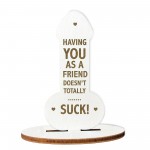 Novelty Gift For Friend Thank You Best Friend Funny Birthday