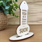 Funny Rude Gift For Sister Birthday Christmas Joke Gift For Her