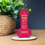 FUNNY GIFT FOR SISTER Gift For Sister Birthday Christmas Gift