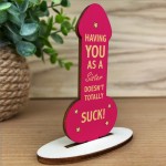 FUNNY GIFT FOR SISTER Gift For Sister Birthday Christmas Gift