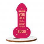 FUNNY GIFT FOR SISTER Gift For Sister Birthday Christmas Gift