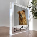 Special Memorial Gift For Pet Dog Memorail Cat Memorial Block