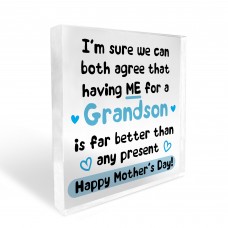 Funny Mothers Day Gift For Nanny Nan Grandma Gift From Grandson