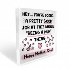 Funny Mothers Day Gift From Daughter Son Joke Mothers Day Gift
