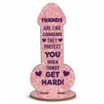 Rude Friendship Plaque Novelty Humour FUNNY Birthday Gift