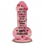 Friendship Sign Rude Friendship Gift Funny Gift For Him Her