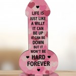 Friendship Sign Rude Friendship Gift Funny Gift For Him Her