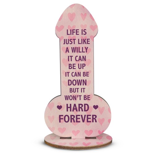 Funny Best Friend Sign Rude Friendship Gift For Him Her Novelty