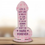 Funny Best Friend Sign Rude Friendship Gift For Him Her Novelty