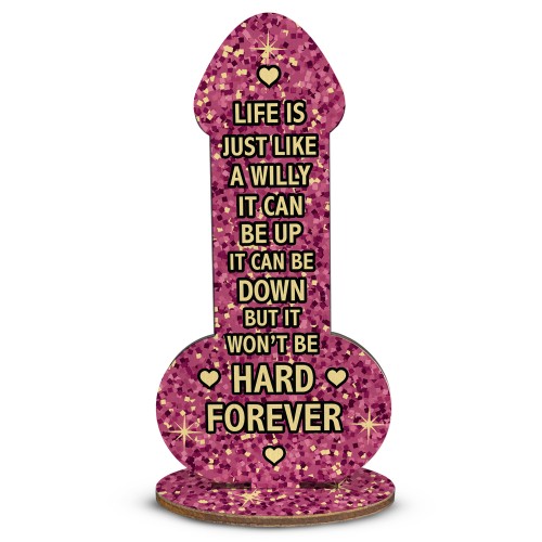 Funny Joke Friendship Gift For Xmas Birthday Gift For Friend